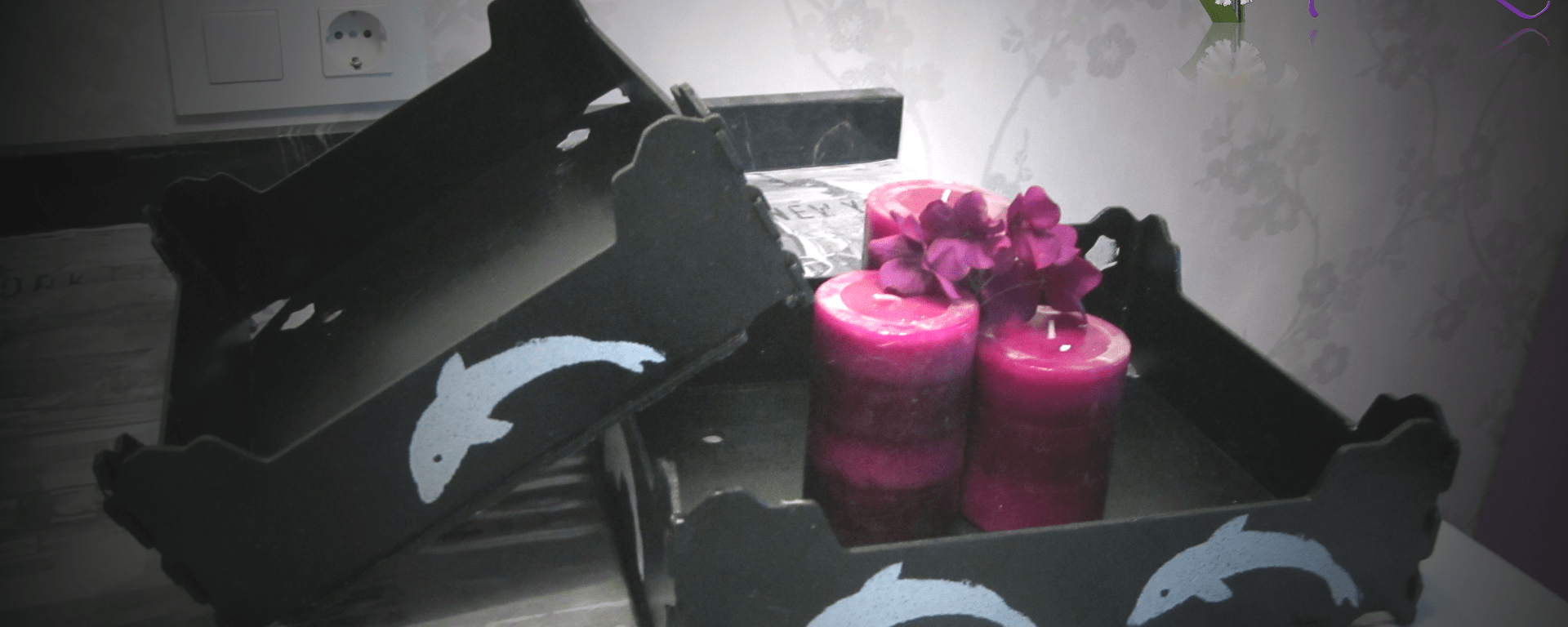 Cajas de frutas recuperada infantil de delfines