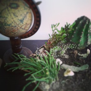 11899602_946519445391753_1164376362_n